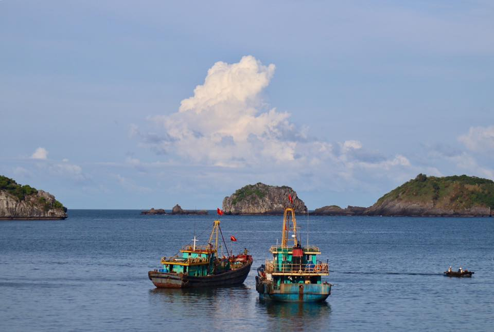 Điều khoản dịch vụ