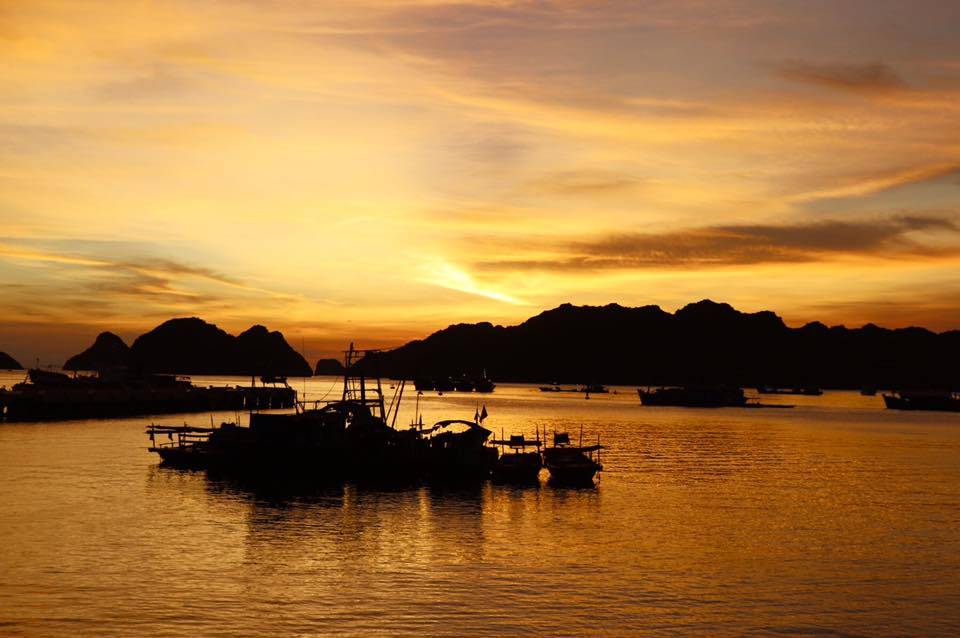 Chính sách bảo mật