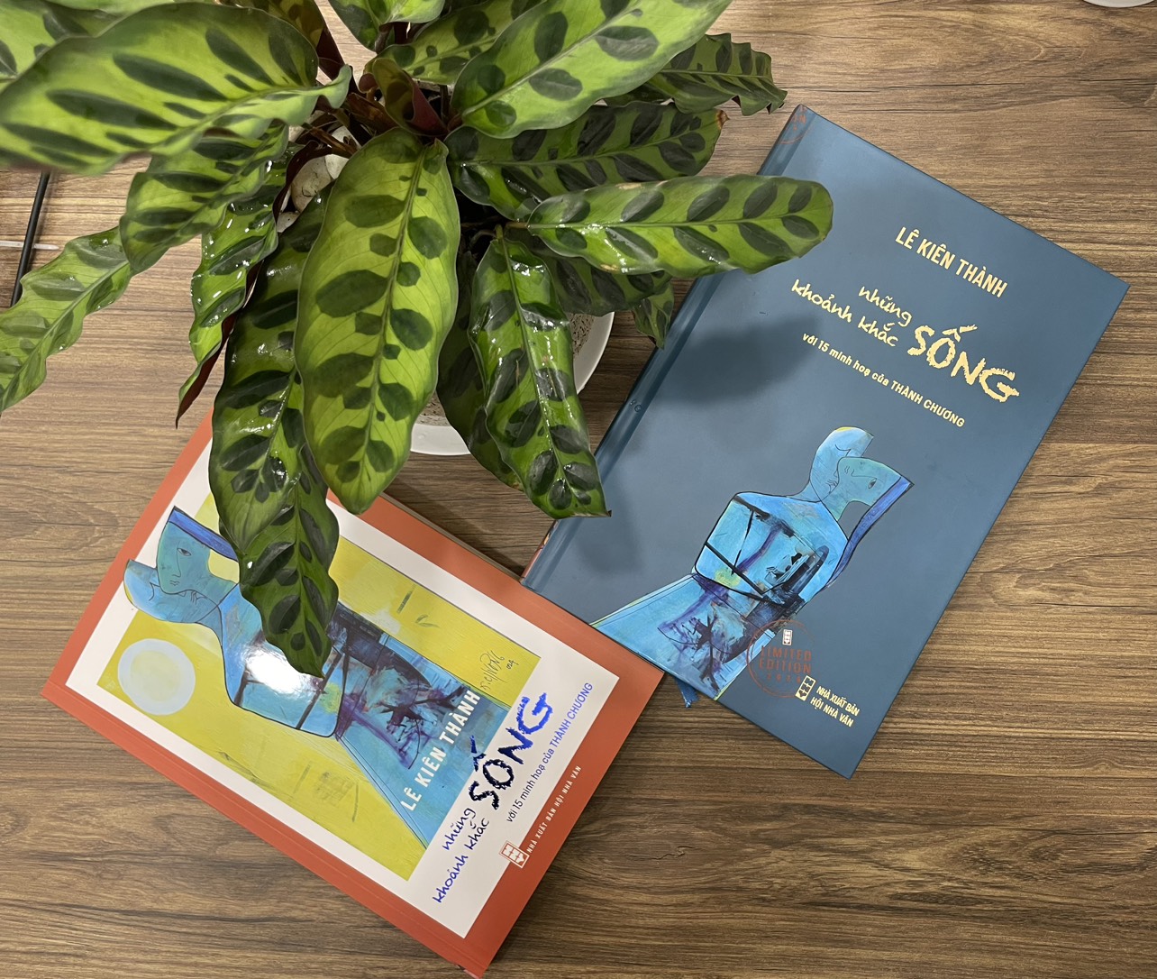 NHỮNG KHOẢNH KHẮC SỐNG